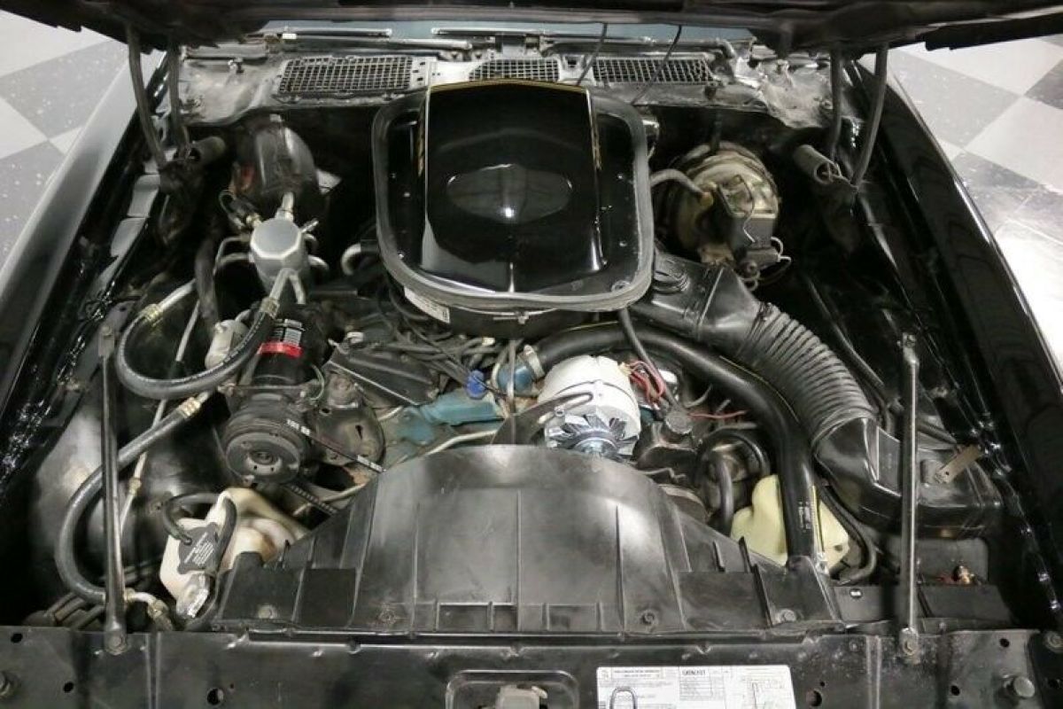 1979 Pontiac Firebird Trans Am SE WS6 - photo 4