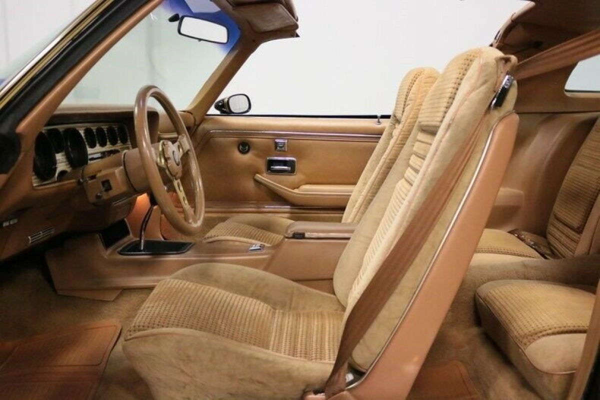 1979 Pontiac Firebird Trans Am SE WS6 - photo 5