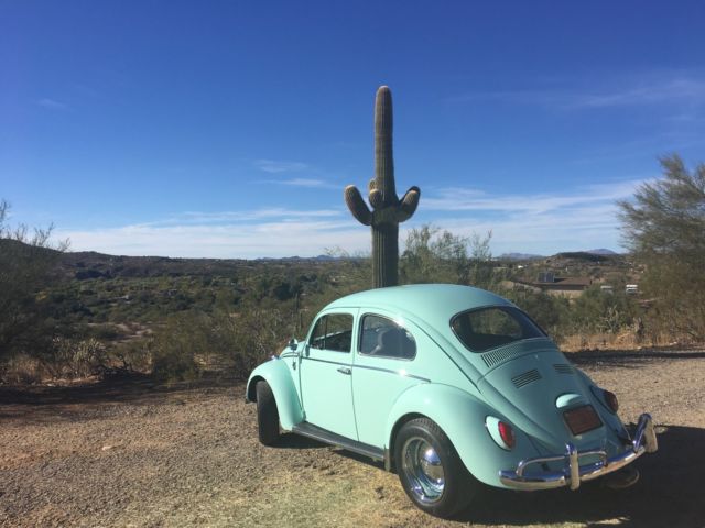 1964 Volkswagen Beetle - Classic - photo 10