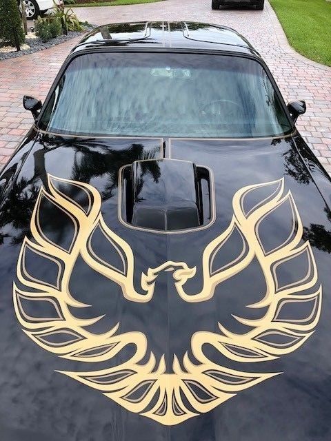 1978 Pontiac Trans Am - photo 13