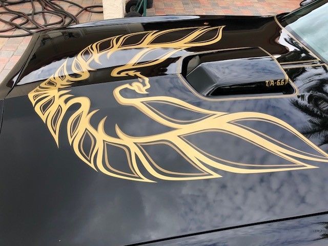 1978 Pontiac Trans Am - photo 3