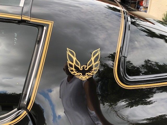 1978 Pontiac Trans Am - photo 9