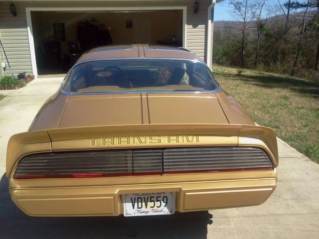 1979 Pontiac Firebird - photo 4