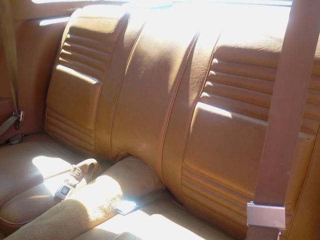 1979 Pontiac Firebird - photo 6
