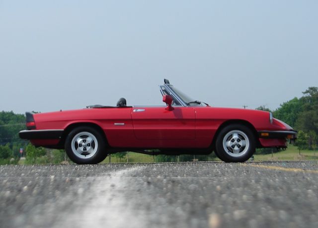 1986 Alfa Romeo Spider Graduate - photo 11
