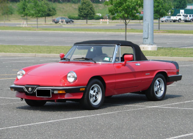 1986 Alfa Romeo Spider Graduate - photo 3
