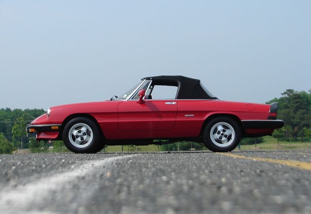 1986 Alfa Romeo Spider Graduate - photo 6