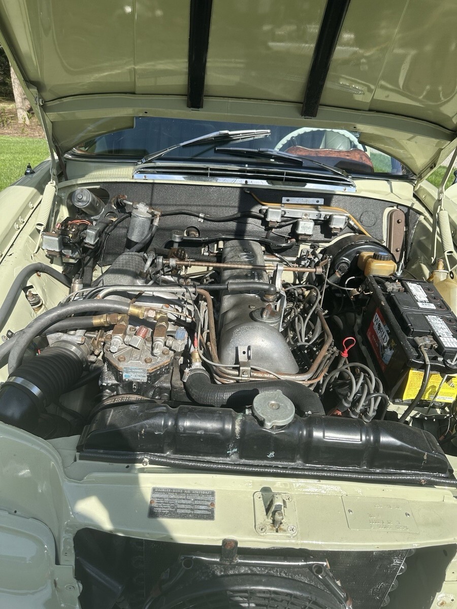 1967 Mercedes-Benz Mercedes 250 SE Coupe - photo 11