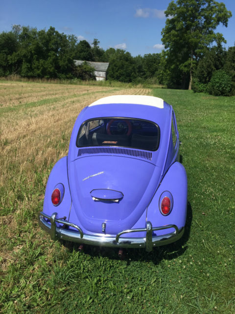 1967 Volkswagen Beetle - Classic - photo 10