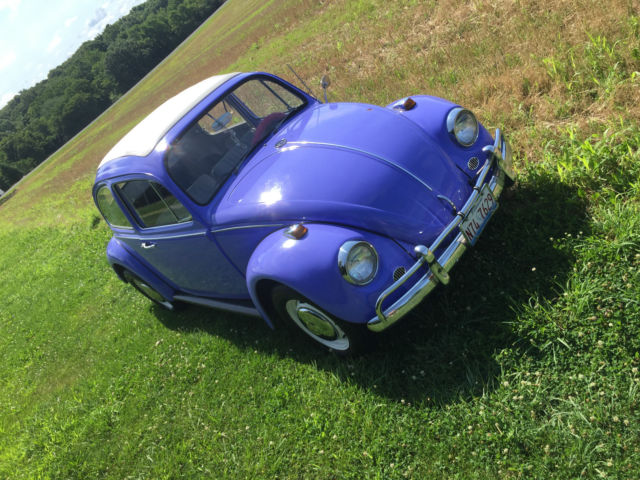 1967 Volkswagen Beetle - Classic - photo 11