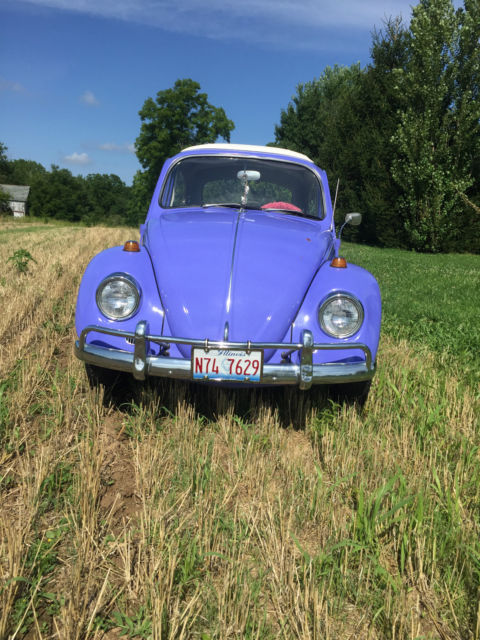 1967 Volkswagen Beetle - Classic - photo 6