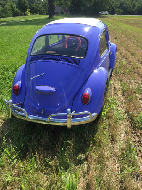 1967 Volkswagen Beetle - Classic - photo 7