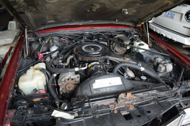 1984 Cadillac Eldorado - photo 8