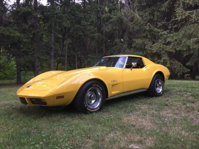 BIG BLOCK 454 4 SPEED MATCHING NUMBERS LAST YEAR OF THE BIG BLOCK GREAT DRIVER 1974 Chevrolet Corvette