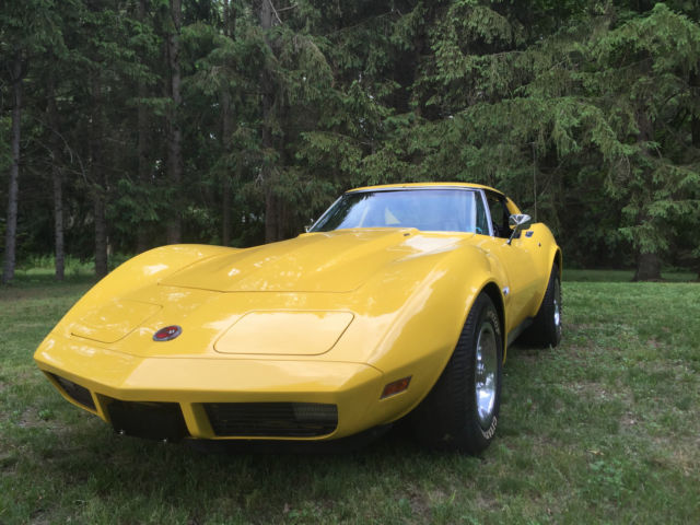 1974 Chevrolet Corvette - photo 3