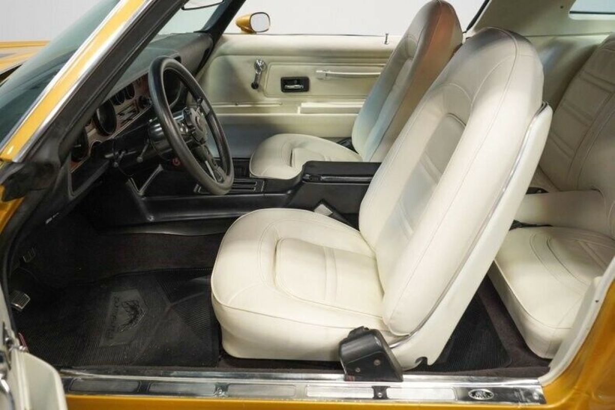 1976 Pontiac Firebird - photo 5