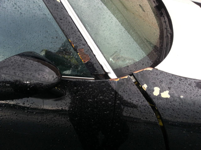 1977 Pontiac Trans Am - photo 3