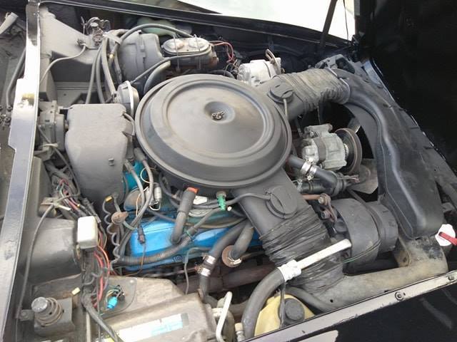 1980 Chevrolet Corvette - photo 5
