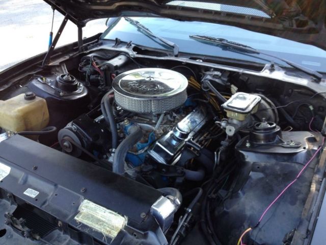 1984 Pontiac Trans Am - photo 4