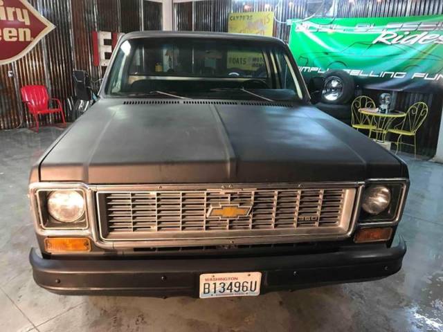 1974 Chevrolet Other Pickups Short box Fleet Side - photo 2