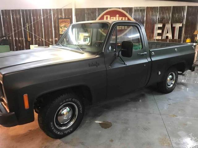 1974 Chevrolet Other Pickups Short box Fleet Side - photo 3