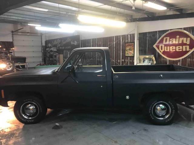 1974 Chevrolet Other Pickups Short box Fleet Side - photo 4