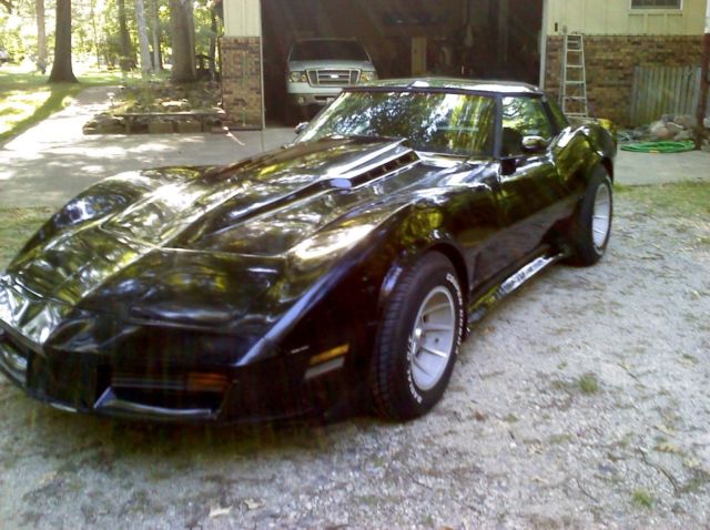 1979 Chevrolet Corvette MIRRORED T-TOPS - photo 3