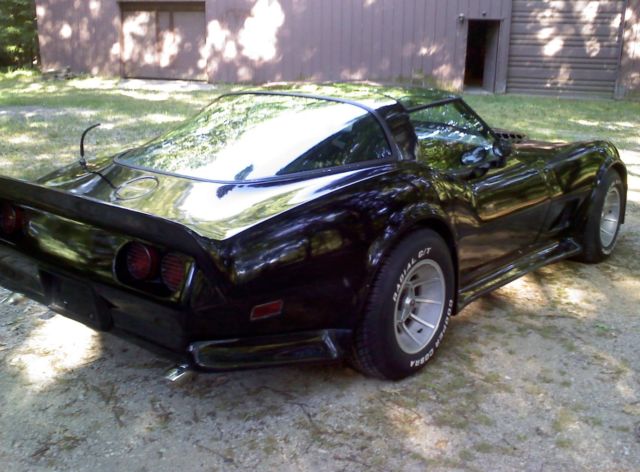 1979 Chevrolet Corvette MIRRORED T-TOPS - photo 4