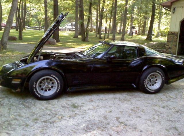 1979 Chevrolet Corvette MIRRORED T-TOPS - photo 7