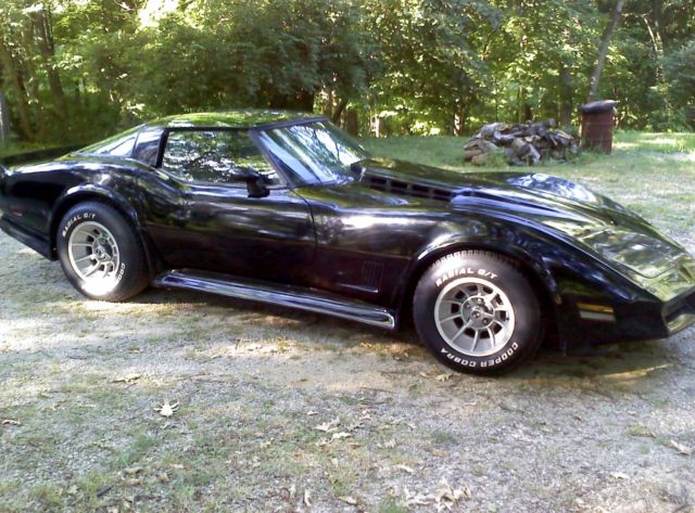 Black Chevy Corvette C-3 Sting Ray Mirrored T-Tops 1979 Chevrolet Corvette MIRRORED T-TOPS