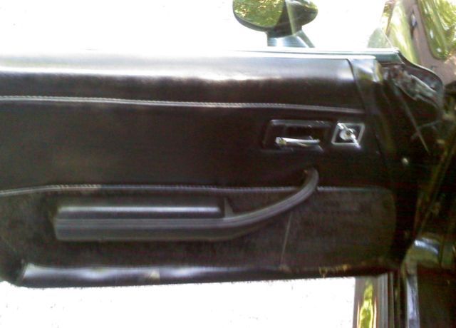 1979 Chevrolet Corvette MIRRORED T-TOPS - photo 13