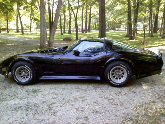 1979 Chevrolet Corvette MIRRORED T-TOPS - photo 4