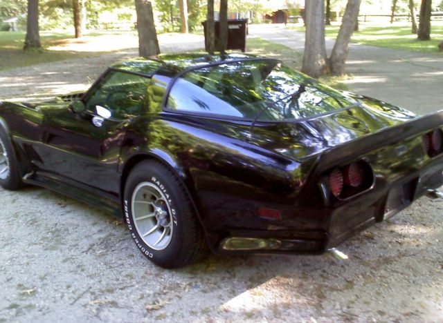 1979 Chevrolet Corvette MIRRORED T-TOPS - photo 5