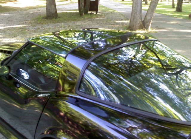 1979 Chevrolet Corvette MIRRORED T-TOPS - photo 9