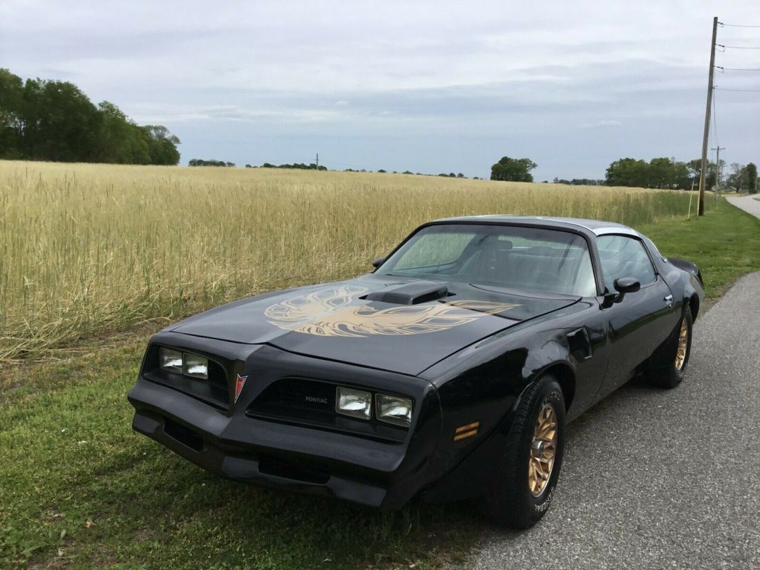 BLACK IS BACK TTOPS NEW ENGINE NEW TRANNY NEW PAINT NO RUST DRIVER QUALITY READY 1978 Pontiac Trans Am