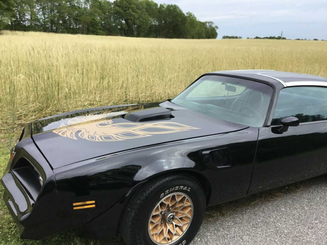 1978 Pontiac Trans Am - photo 5