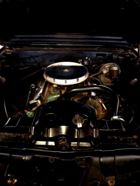 1966 Pontiac GTO - photo 7