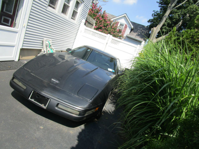 1991 Chevrolet Corvette - photo 2