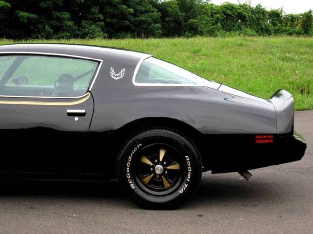 1979 Pontiac Firebird 301C Bandit - photo 13