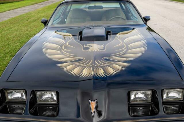 1979 Pontiac Trans Am 2 DR - photo 10