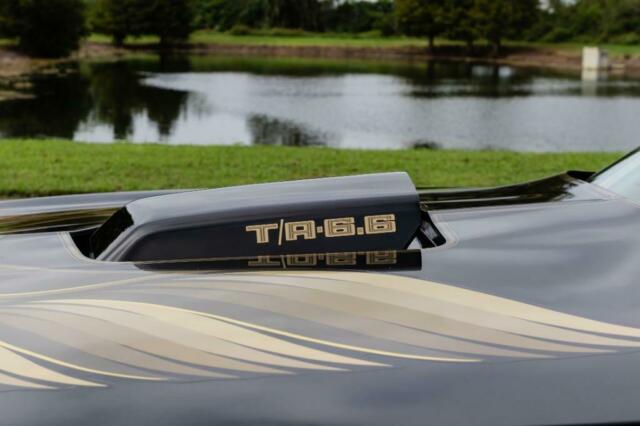 1979 Pontiac Trans Am 2 DR - photo 11