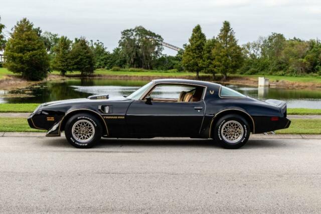 1979 Pontiac Trans Am 2 DR - photo 5