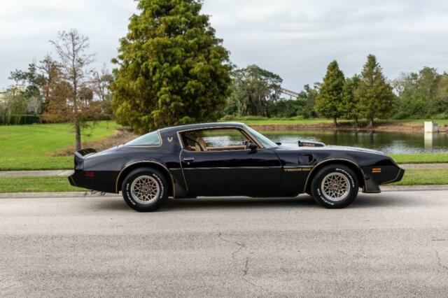 1979 Pontiac Trans Am 2 DR - photo 8