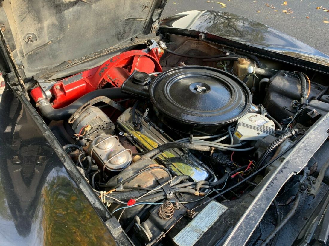 1977 Chevrolet Corvette - photo 7