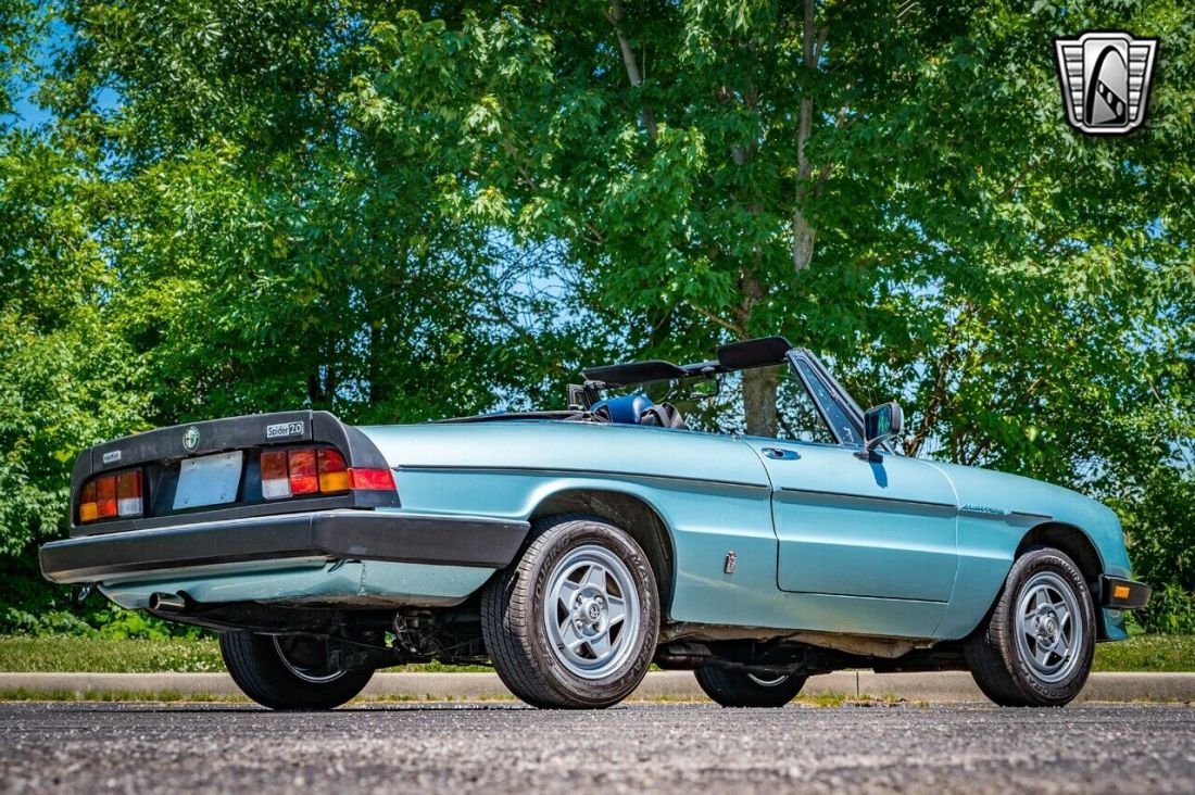 1983 Alfa Romeo Spider Veloce - photo 6