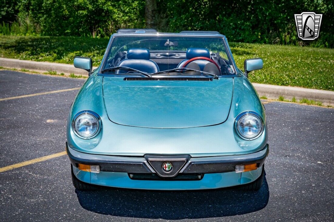 1983 Alfa Romeo Spider Veloce - photo 9