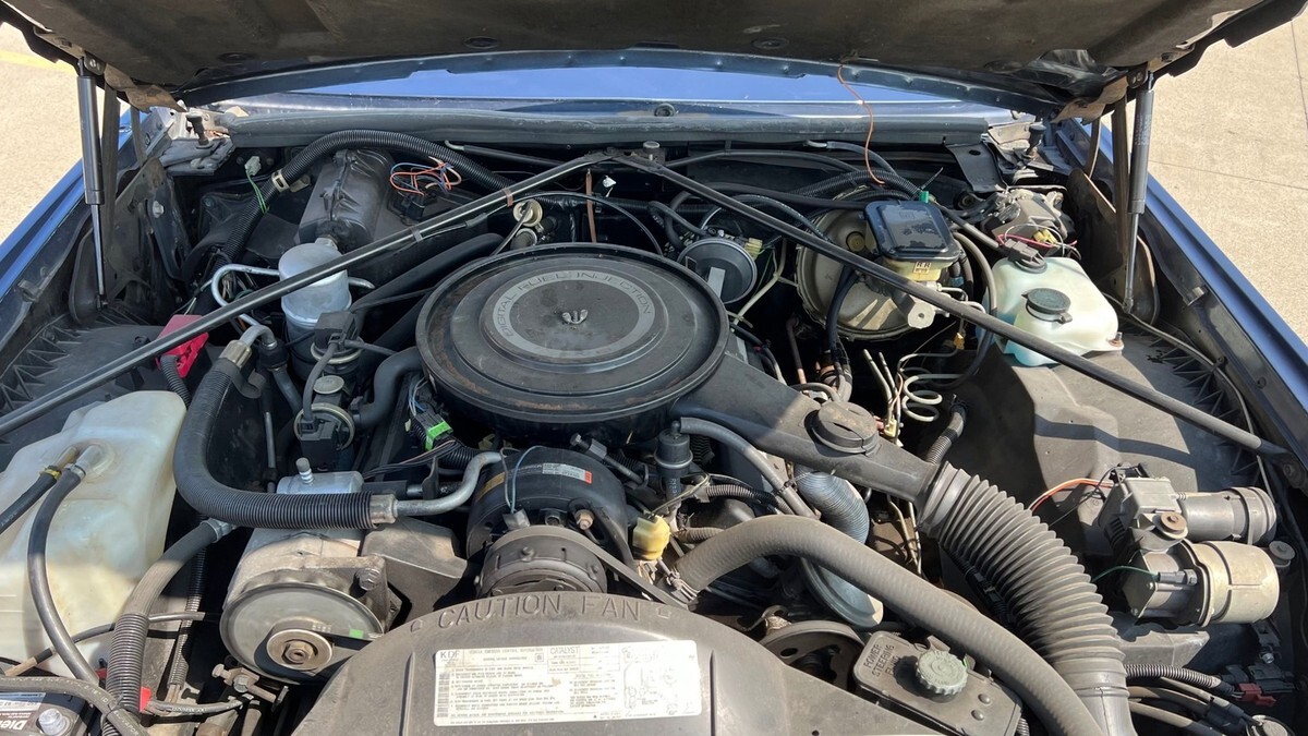 1984 Cadillac Eldorado - photo 8