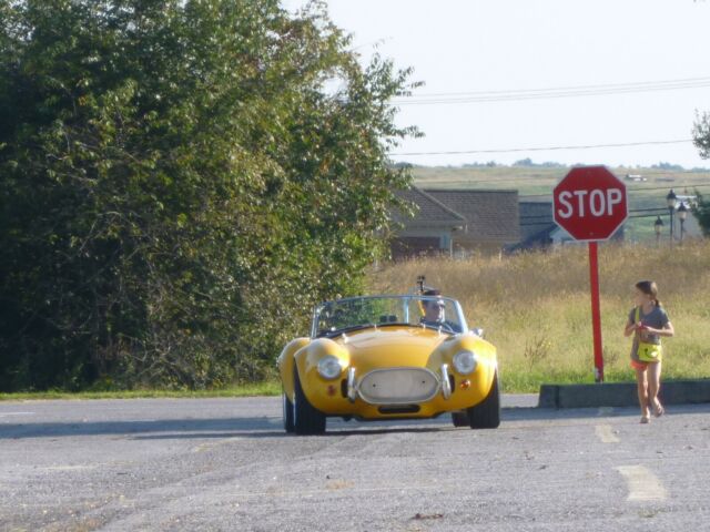 1965 Shelby Cobra - photo 11