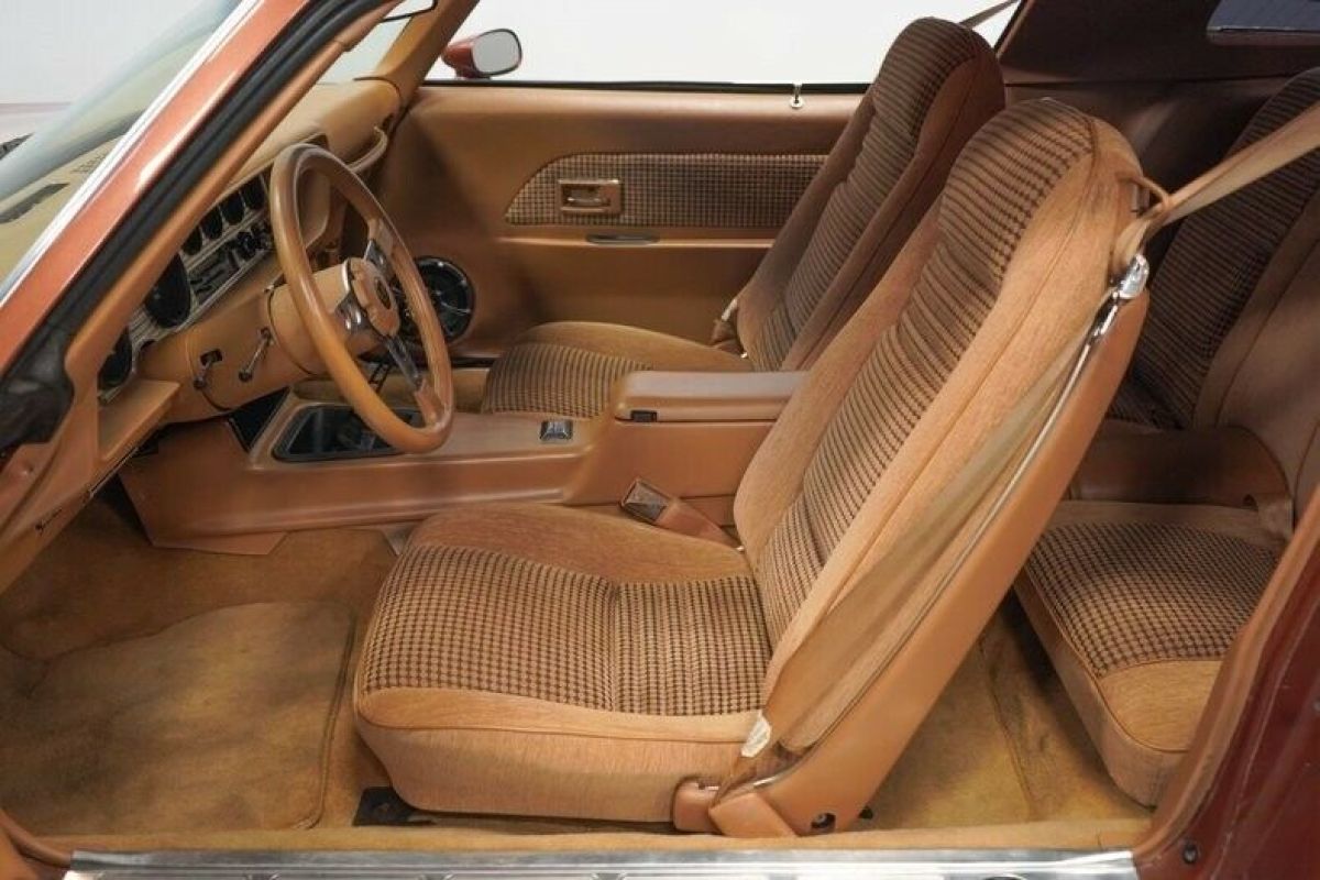 1978 Pontiac Firebird Trans Am - photo 5