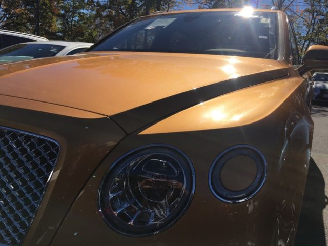 1980 Bentley Other - photo 10